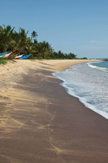 Tropical paradise idyllic beach. Sri Lanka