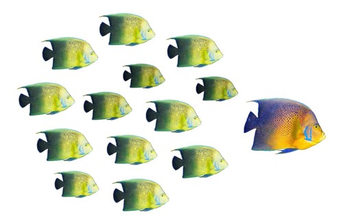 Leadership concept