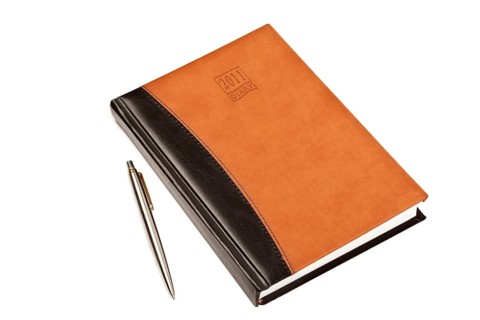 Diary for 2011 year with leather cover and metal pen on table isolated on white background