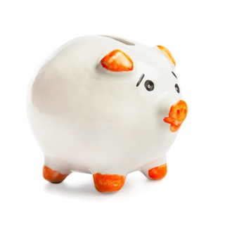 Piggy bank isolated on white background
