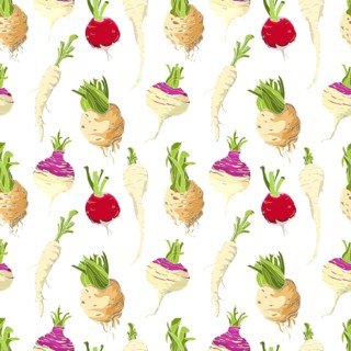 Vegetables roots pattern over white background