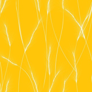 Wheat cereal ears seamless pattern