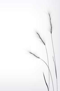 Wheat composition