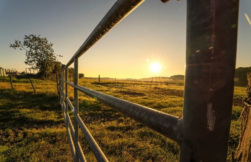 In the countryside