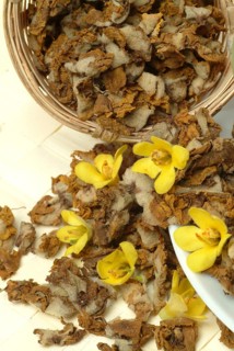 Dense-flowered mullein