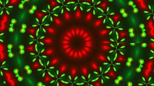 Beautiful kaleidoscope with neon flowers