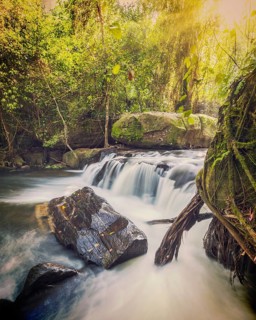Vintage retro effect filtered hipster style image of tropical waterfall Phnom Kulen