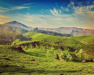 Kerala India travel background