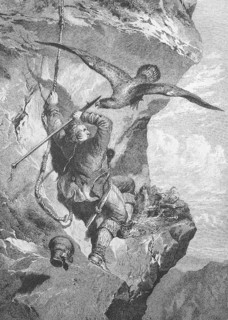 Man wants to plunder an eagle's nest