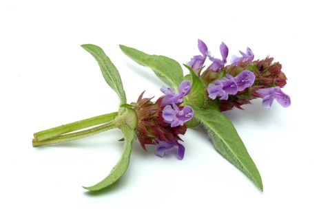 Common selfheal