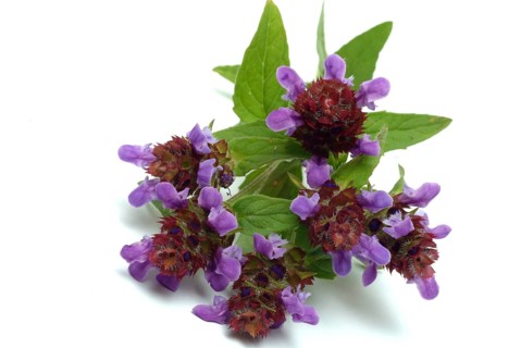 Common selfheal