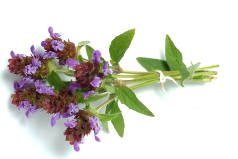 Common selfheal