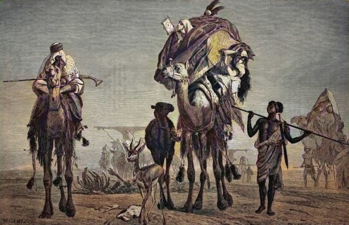 The Wandering Harem of a Bedouin in the Desert