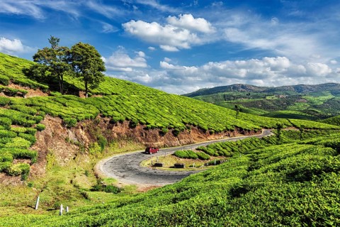 Kerala India travel background
