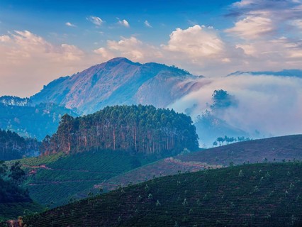 Kerala India travel background