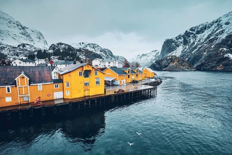 Panorama of Nusfjord authentic fishing village with yellow rorbu houses in Norwegian fjord in winter. Lofoten islands