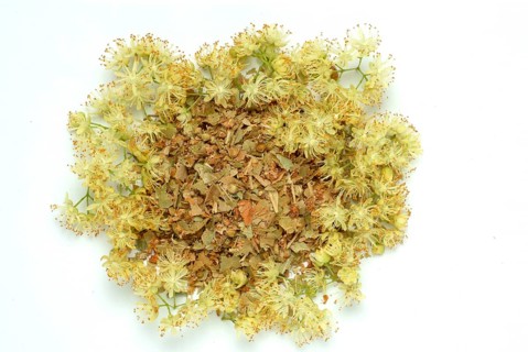 Lime blossoms of the large-leaved linden