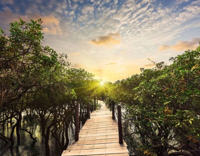 Tropical exotic travel concept