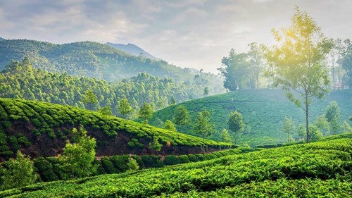 Kerala India travel background