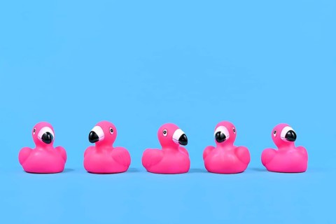 Pink rubber duck flamingos in a row on blue background with copy space
