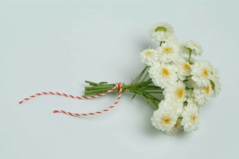 Roman chamomile
