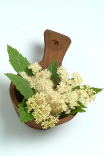Meadowsweet