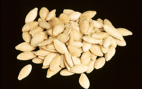 Pumpkin seeds