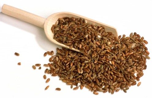 Rice