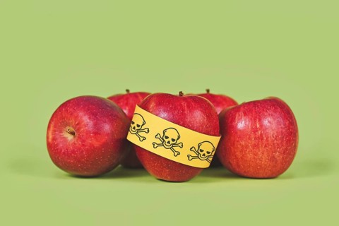Apples with poison skull symbol sticker on green background. Concept of pesticide residues in agricultural food