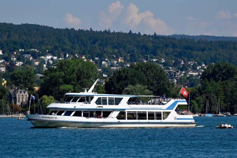 Motorboat Pfannenstiel Lake Zurich