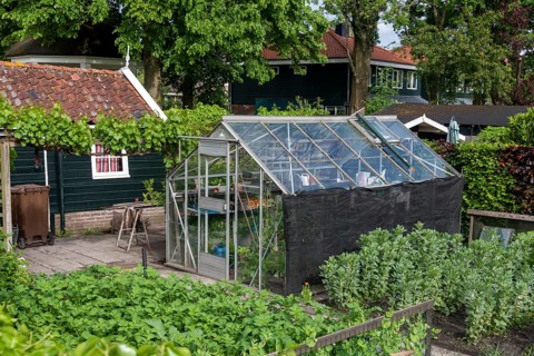 Greenhouse