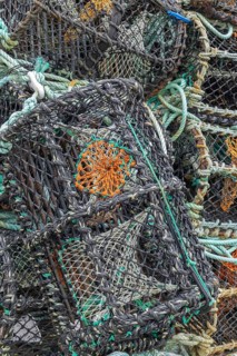 Lobster baskets