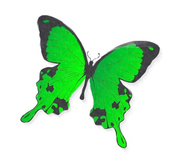 Green butterfly in watercolors over white background