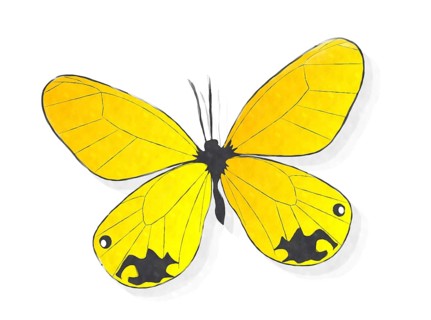 Yellow butterfly watercolor style drawing over white
