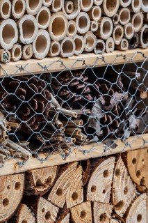 Insect hotel with artificial nesting possibilities for solitary bees in hollow bamboo trunks and drilled holes in wooden trunks as well as cavities between pine cones for hibernating ladybirds