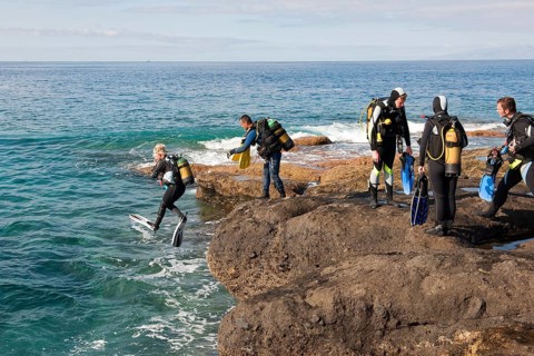Diver entering sea from rocky coast