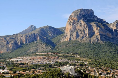 Overview