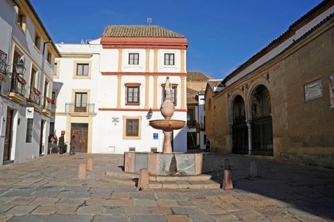Fountain