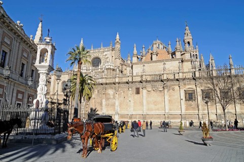 Horse and carriage