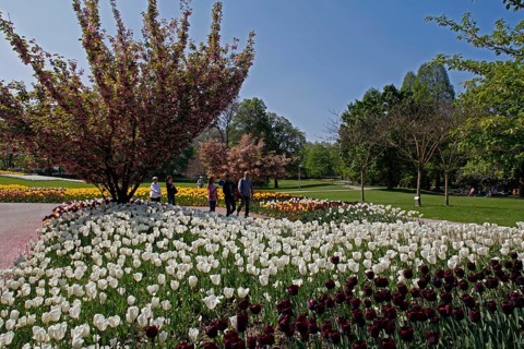 Luisenpark