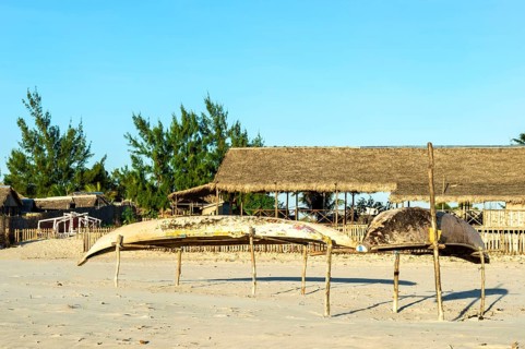 Fishing boats on the beach