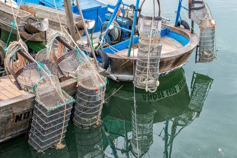 Boats with fishing boats