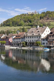 Rhine bank
