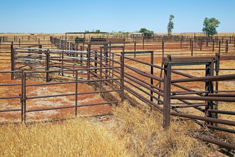 Metal gates of a pen