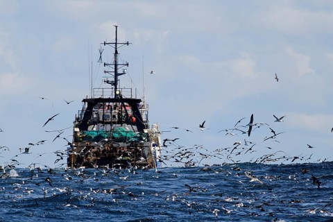 Deep-sea trawler being followed by seabirds at sea