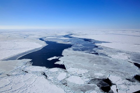 Pack ice