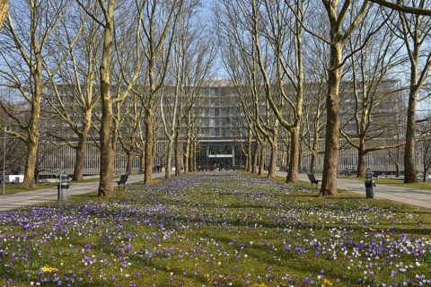 Hospital 'Benjamin Franklin'