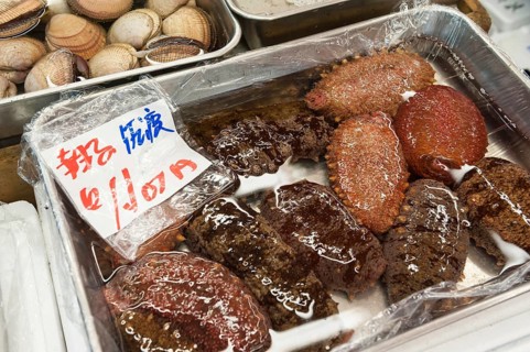 Sea cucumbers for sale
