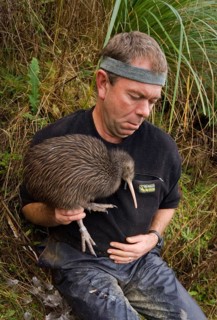 North Island Conservation Programme north island brown kiwi