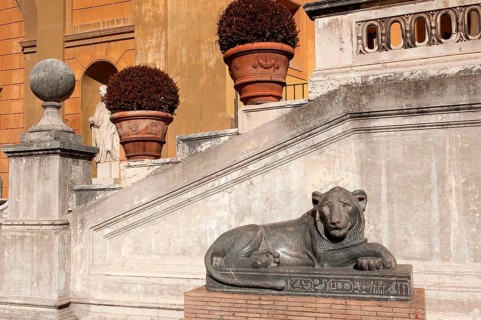 Egyptian Lion